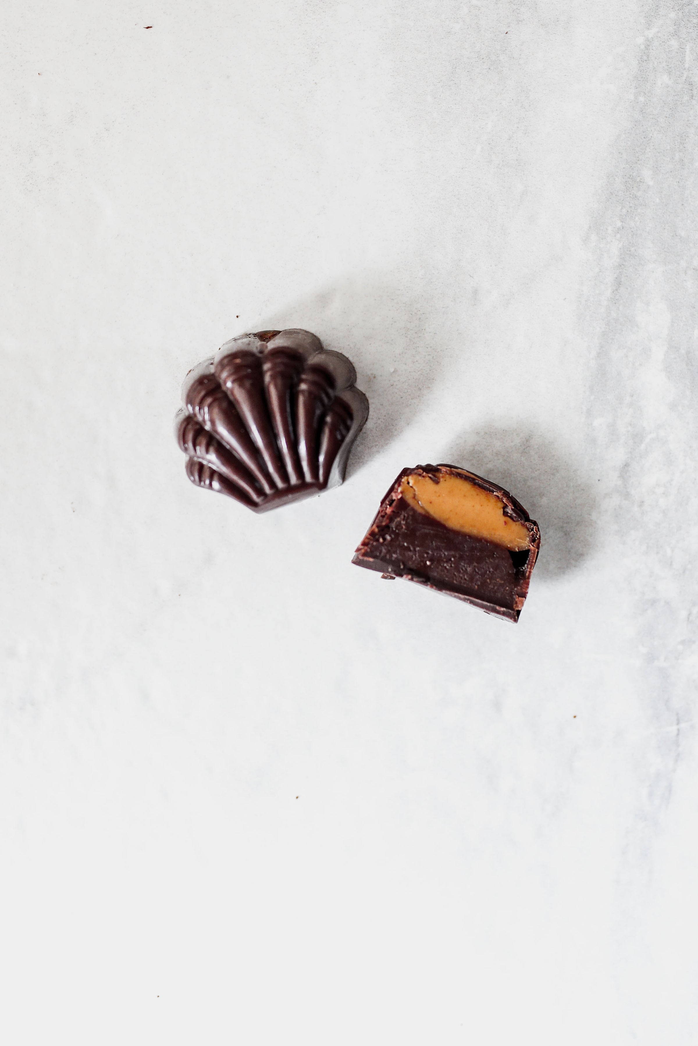 BRUNT マルチボックス MULTI BOX チョコチップ MULTI BOX チョコチップ